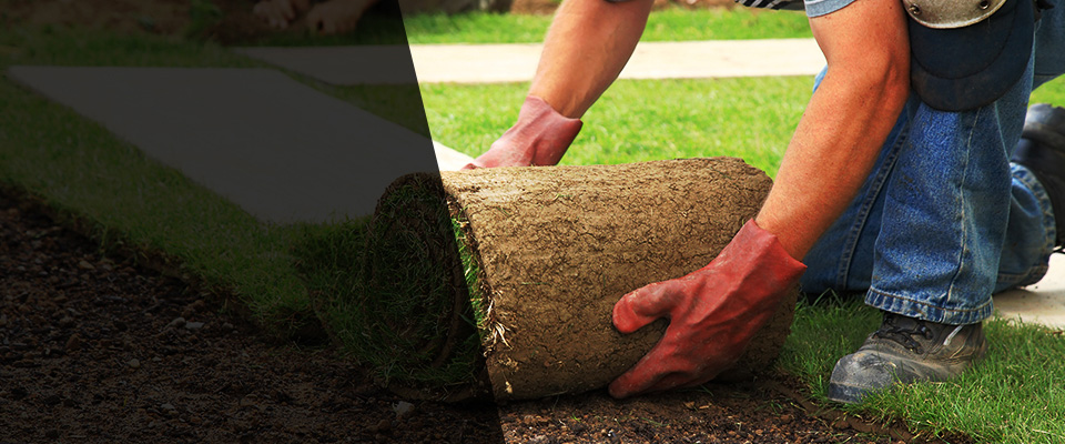 Catasauqua Landscapers